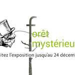 Une nouvelle exposition...mystérieuse