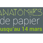 Anatomies de papier