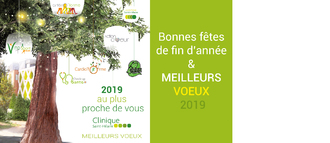 2019 voeux de bonheur à partager 